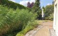 Gartenteich