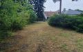 Zufahrt & Garten