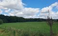 Umgebung